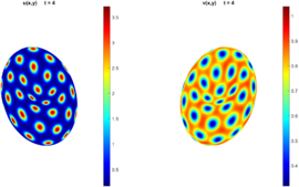 Concentrations at t = 0 and t=4.