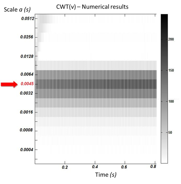 Draft Scarabino 400696530-image19-c.png