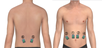 Draft Zhou 963570051-image1.png