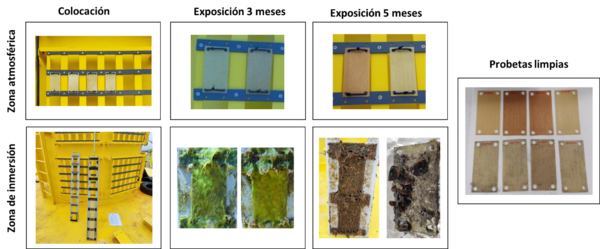 Draft Echeverria Altuna 720195543-image3.png