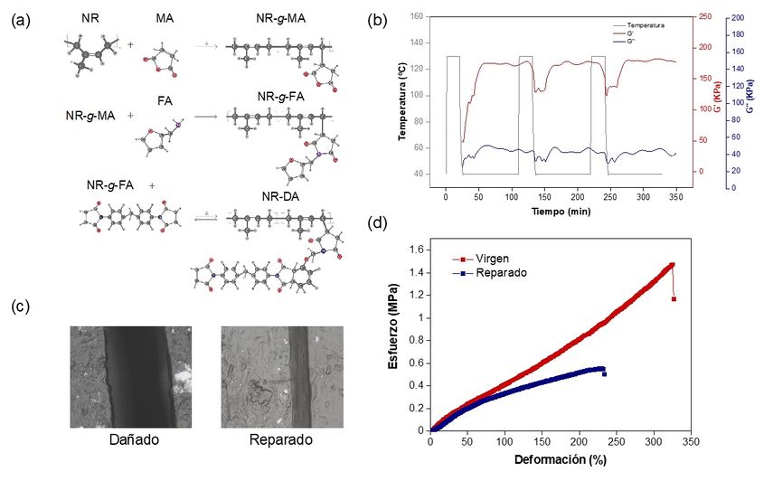 Draft Hernandez Santana 135928242 8911 Fig3.jpg