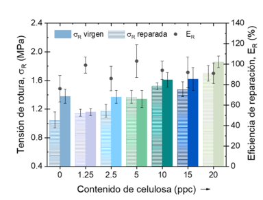 Draft Hernandez Santana 504976327-image3.png