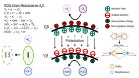 Draft Zhao 757673097-image15-c.png