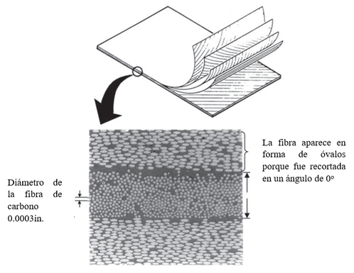 Jauregui et al 2019a-image6-c.png