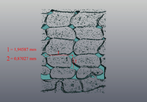 Draft Burgos Pintos 541896033-image7.png