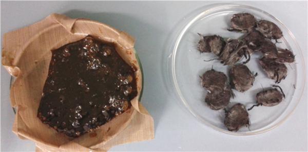 Draft Compuestos 572183666-image13.png