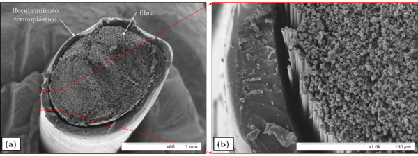 Draft Murillo 796505002-image4.png