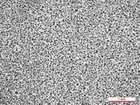 Review 950121520459-image11.jpeg