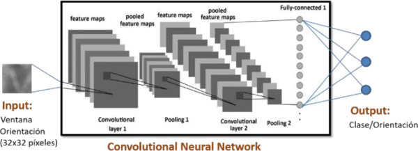 Alberdi et al 2021a-image12.png