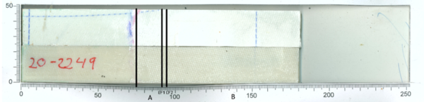 Blanco et al 2022a-image27.png