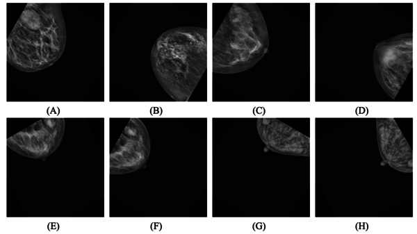 Draft Hussain 989919632-image2.png