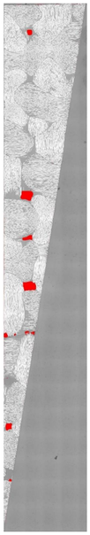 Ultrera et al 2017a-image18.png