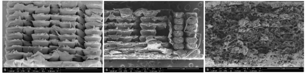 Draft Burgos Pintos 541896033-image8.png