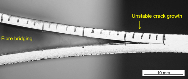 Draft Compuestos 918491296-image8-c.png