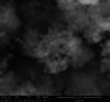 Izarra et al 2019a-image10.png