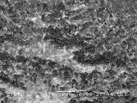 Valea et al 2019c-image8.jpeg