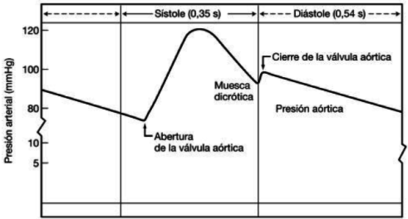 Draft Samper 411837410-image9-c.png