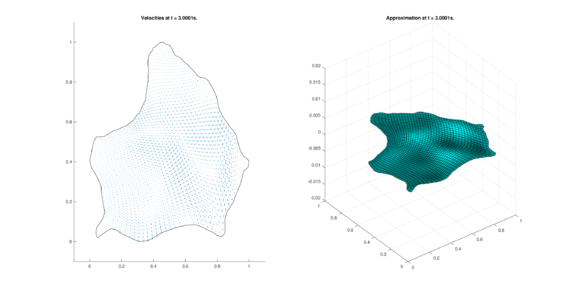 Results for ZIRA in the non-conservative case.