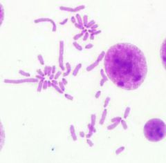 Draft BELTRAN URREGO 123847636-image1-c.jpg