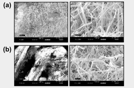 Draft Voelker 516016153 8846 fig6.png