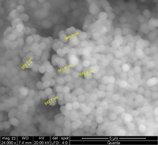 Izarra et al 2019a-image8.png