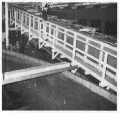 Draft Samper 720215472-image8-c.png