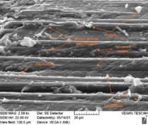 Review 824132888298-image59.png