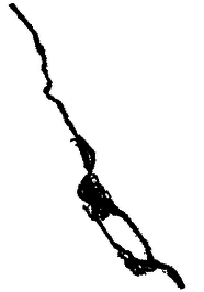 Draft Esqueda Oliva 308490420-image12.png