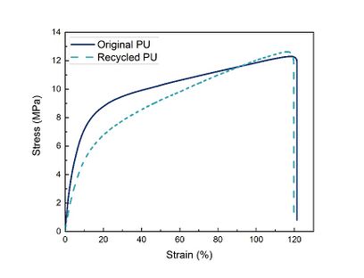 Draft Restrepo Montoya 595178911-image7.jpeg