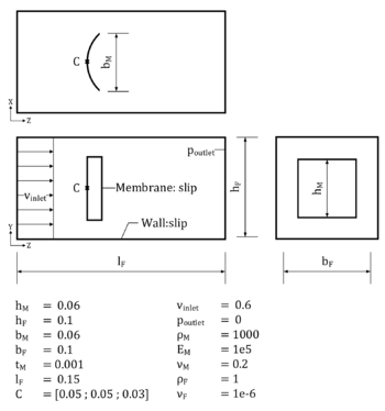 3D setup of the flow-induced buckling of a membrane
