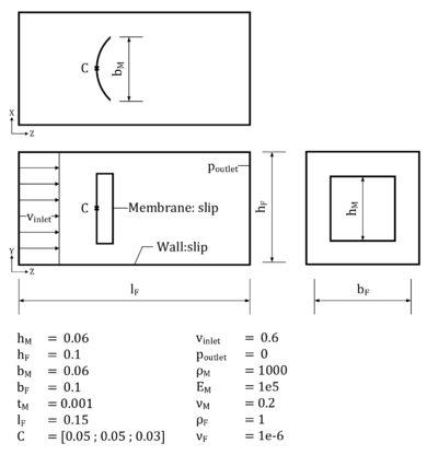 3D setup of the flow-induced buckling of a membrane