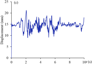 Draft Shi 964731425-image22-c.png