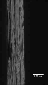 Draft Haldar 892049790-image4-c.png