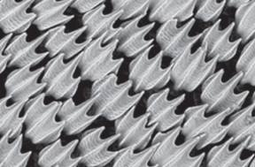 Draft Compuestos 645518021-image5.png