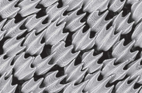 Draft Compuestos 645518021-image5.png