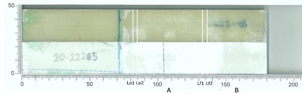 Blanco et al 2022a-image22-c.jpeg