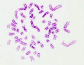 Draft BELTRAN URREGO 123847636-image2-c.jpg