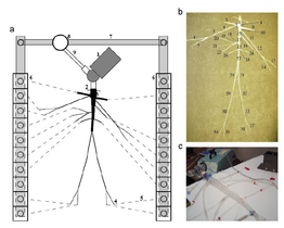a) Plan view schematic of the hydraulic model. 1: Pump (left heart); 2: catheter access; 3: aortic valve; 4: peripheral resistance tube; 5: stiff plastic tubing (veins); 6: venous overflow; 7: venous return conduit; 8: buffering reservoir; 9: pulmonary veins. (b) Topology and references labels of the arteries simulated, whose properties are given in table 3. (c) Detail of the pump and the aorta.