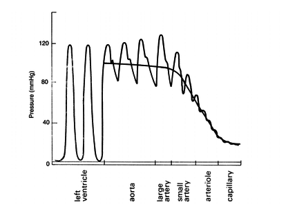 Draft Samper 411837410-image10.png