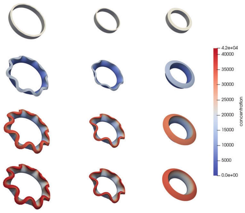 2025_04_01_dd828f1a4a5c7786ee99g-14