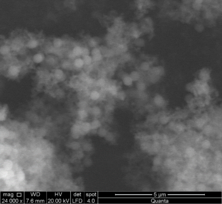 Izarra et al 2019a-image11.png