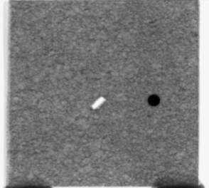 Seddon et al 2019a-image24.png