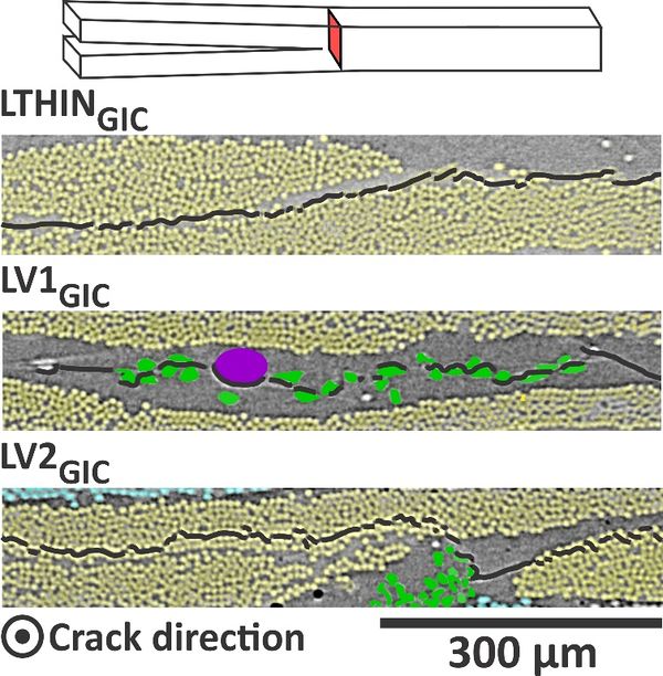 Draft Compuestos 638005698-image10.jpeg