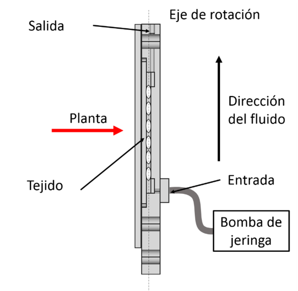 Draft Compuestos 820497755-image5.png