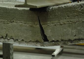 Draft Samper 923470888-image5.png