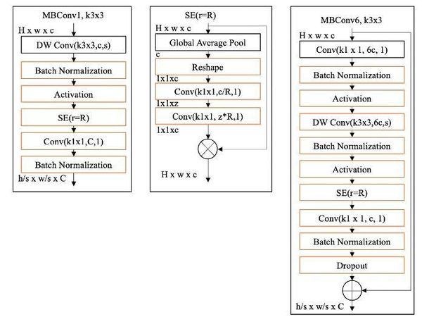 Draft Hussain 989919632-image4.jpg