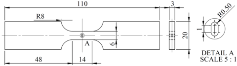 Dimensions, in millimeters, of the OH specimen