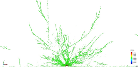 Draft Samper 773076048-damage-no-initial-2.png