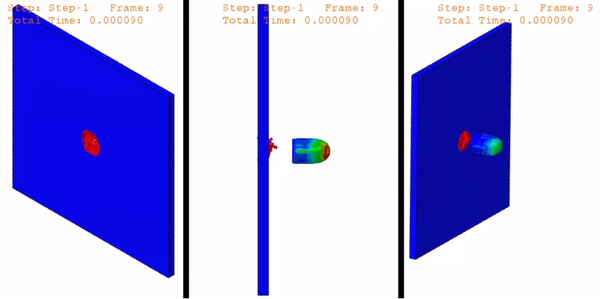 Pinto et al 2021a-image10-c.png