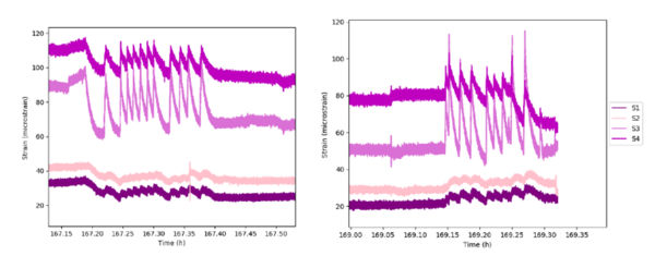 Gonzalez-Castro et al 2022a-image31.png